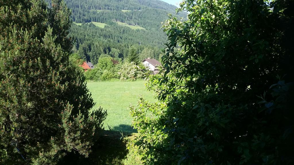 Apartmán Ferienhaus Georgie Teufenbach  Exteriér fotografie
